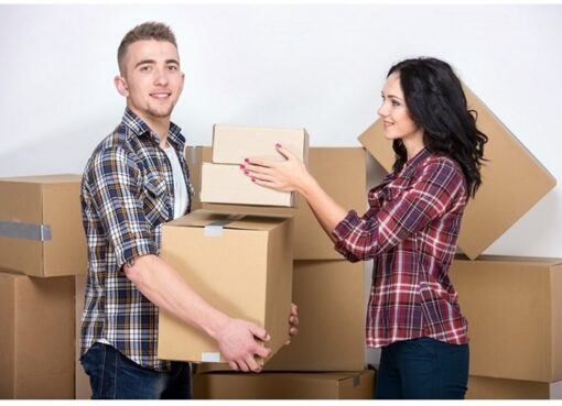 The Key Role of Furniture Removalists in Easing Your Moving Day Woes