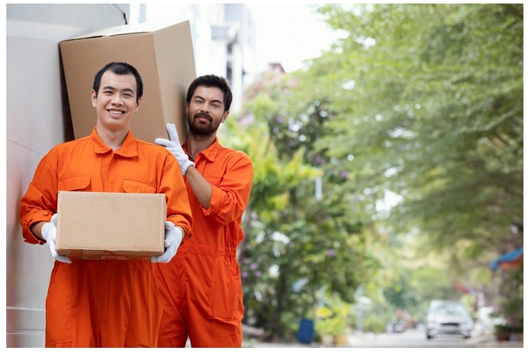 The Key Role of Furniture Removalists in Easing Your Moving Day Woes