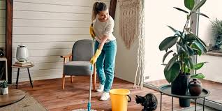 DIY Pest Control for Renters – Safe Solutions Without Landlord Hassle
